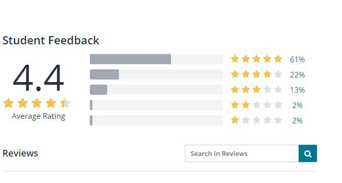 Udemy course student rating - screenshot
